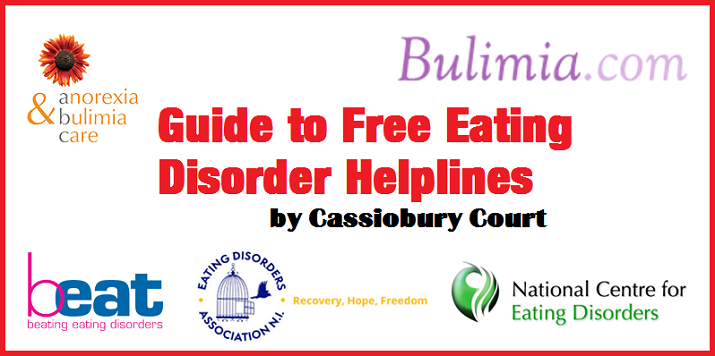 Guide to eating disorder 